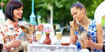 best dog friendly cafes in singapore (1)