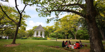 Unidentified people picnic in the Singapore Botanic Gardens in Singapore. Opened in 1859, the gardens now cover 74 hectares.